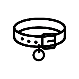Paras vakuutus koiralle